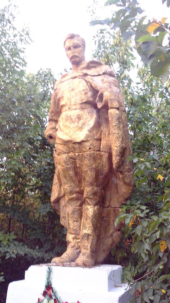 Вільшана з panoramio.com - Вільшана