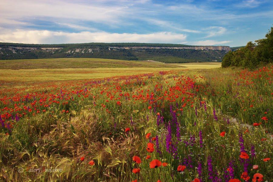 Інкерман з panoramio.com - Инкерман