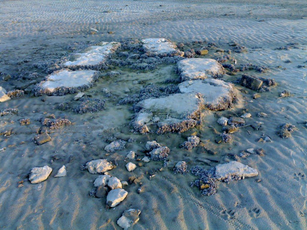 Глібівка з panoramio.com - Глібівка