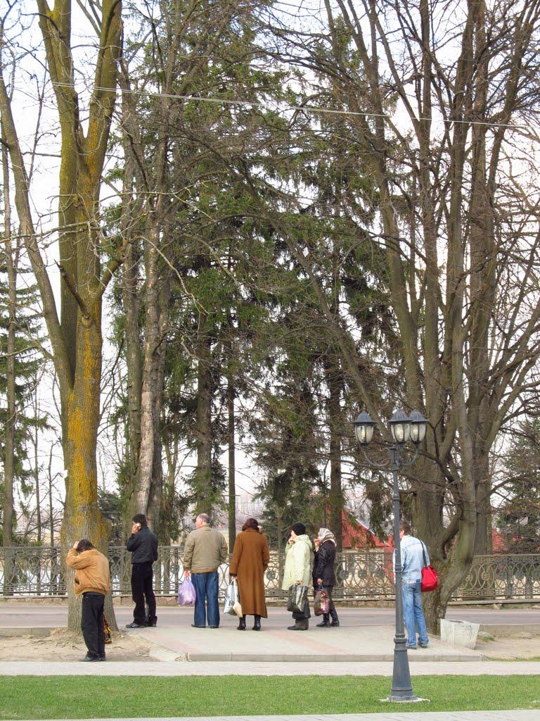 Долина з panoramio.com - Dolyna