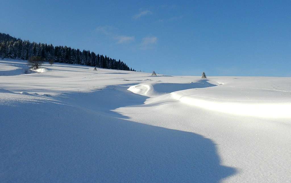 Кіндратів - Кіндратів