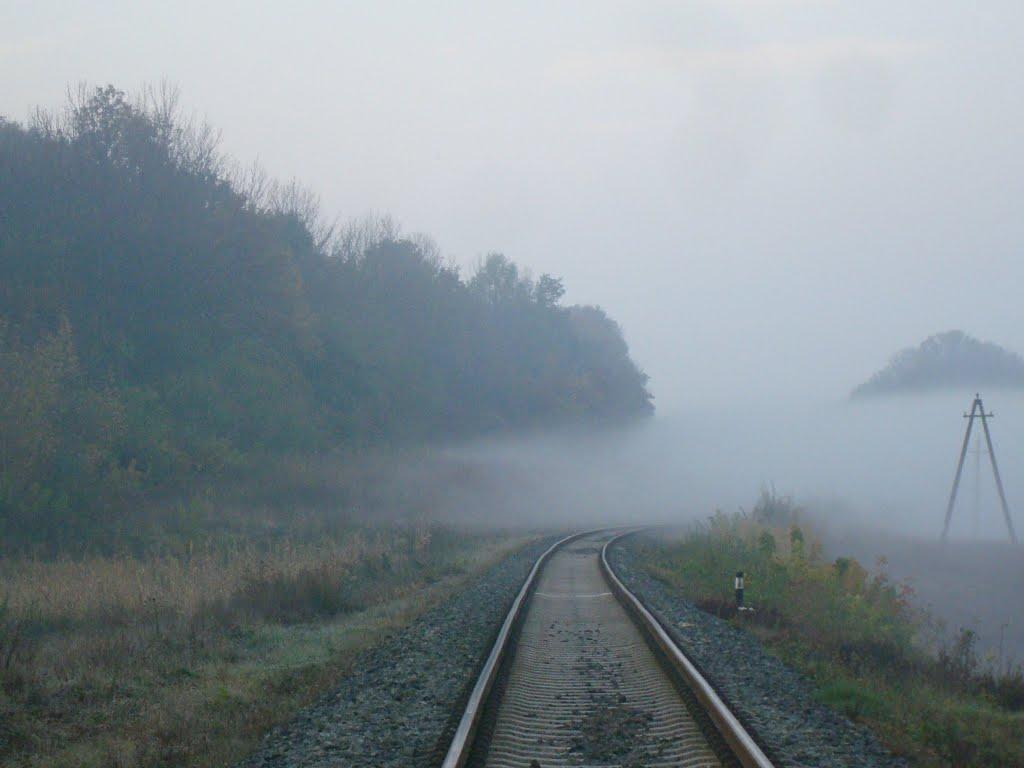 Городок з panoramio.com - Городок