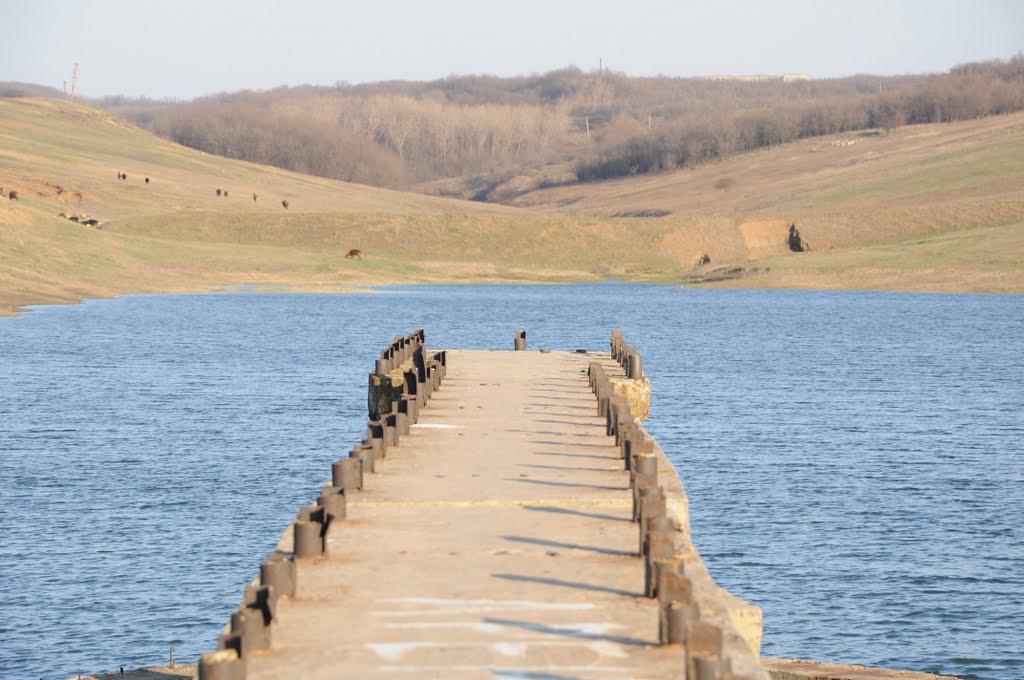 Лобанівка з panoramio.com - Лобановка