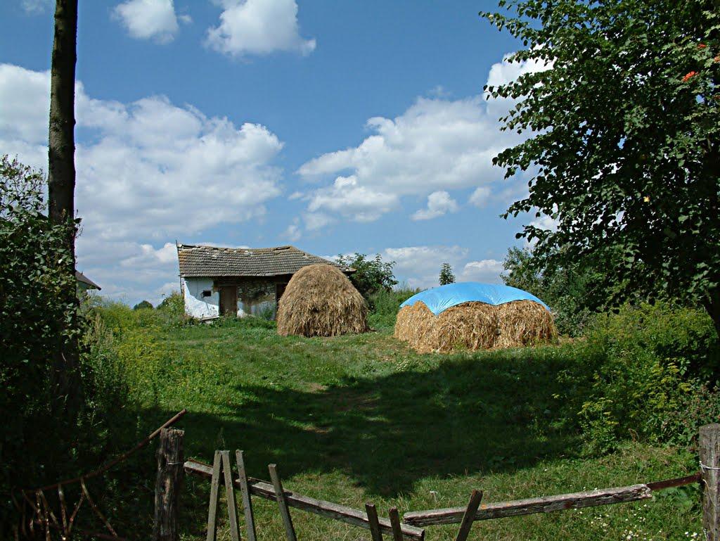 Бенева з panoramio.com - Бенева