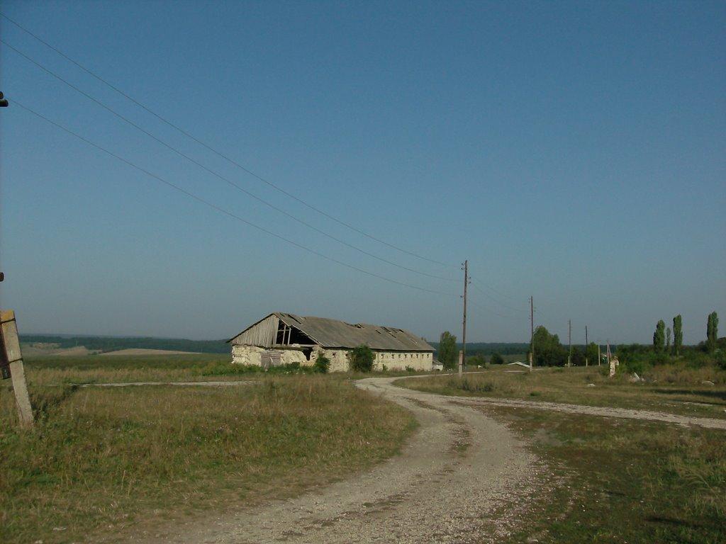 Серебрія з panoramio.com - Серебрія