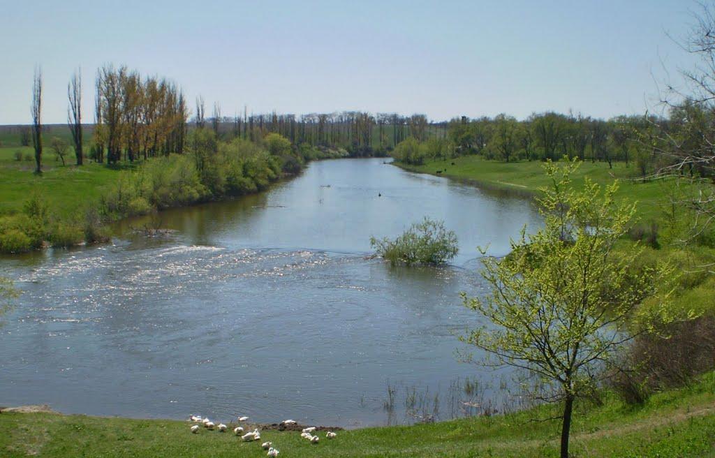 Новокурське з panoramio.com - Новокурське