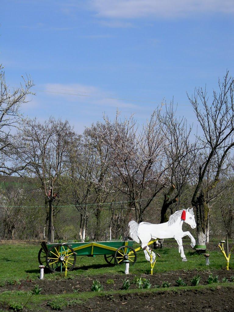 Лунка з panoramio.com - Lunka