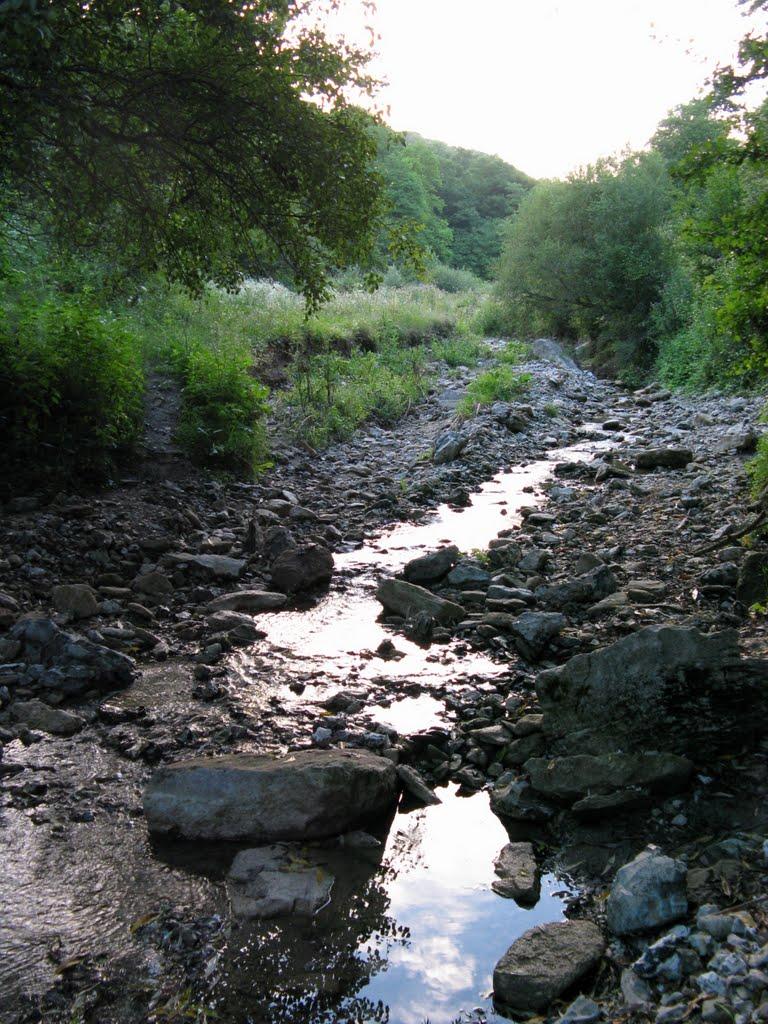 Миньківці з panoramio.com - Миньківці