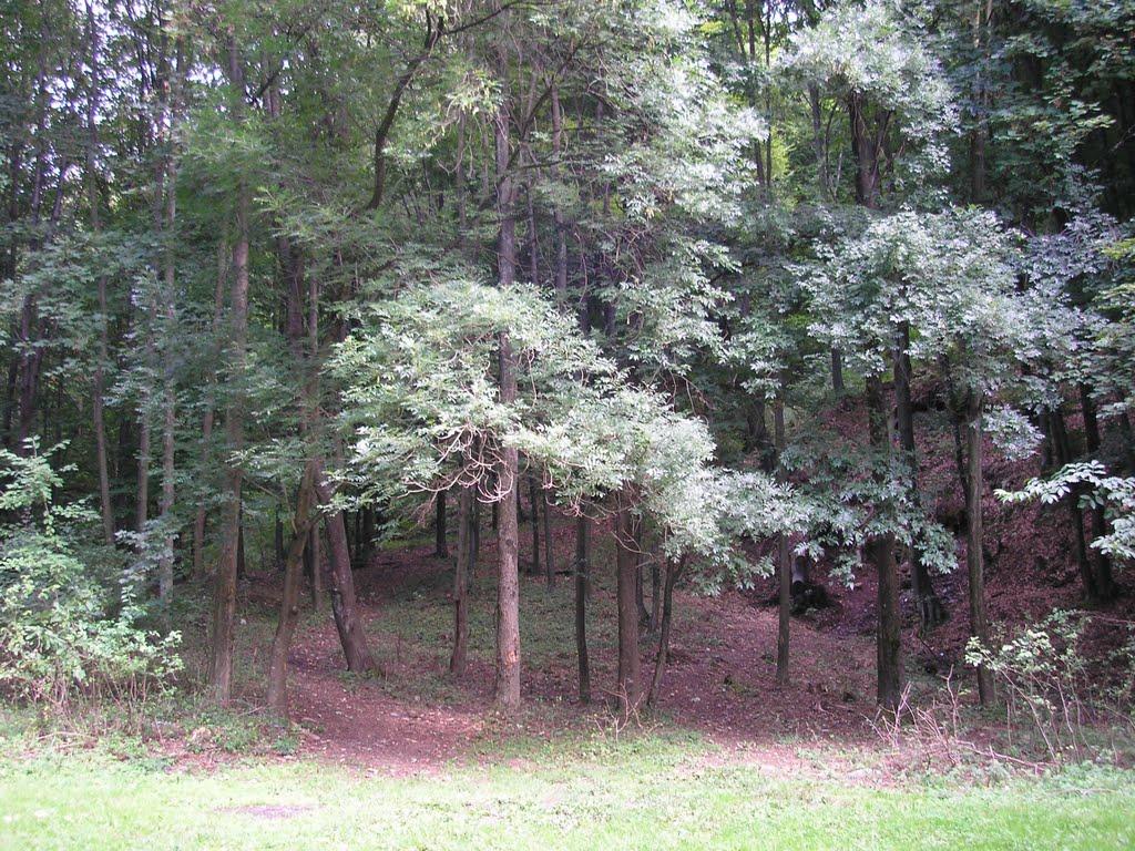 Анталовці з panoramio.com - Анталовці