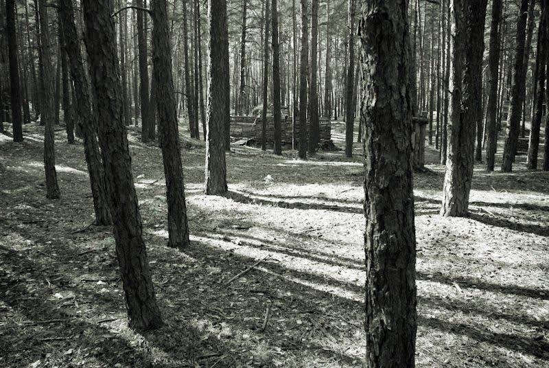 Терентіївка з panoramio.com - Терентиевка