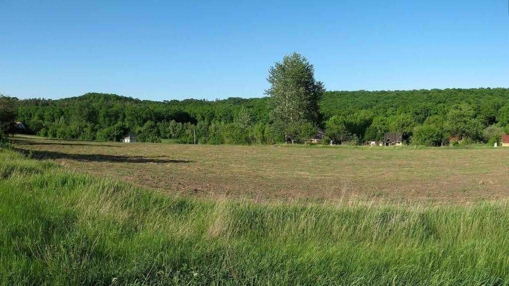 Тимошівка з panoramio.com - Тимошівка