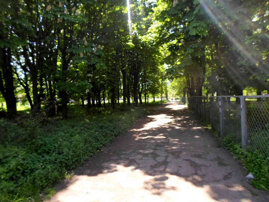парки - Стрый