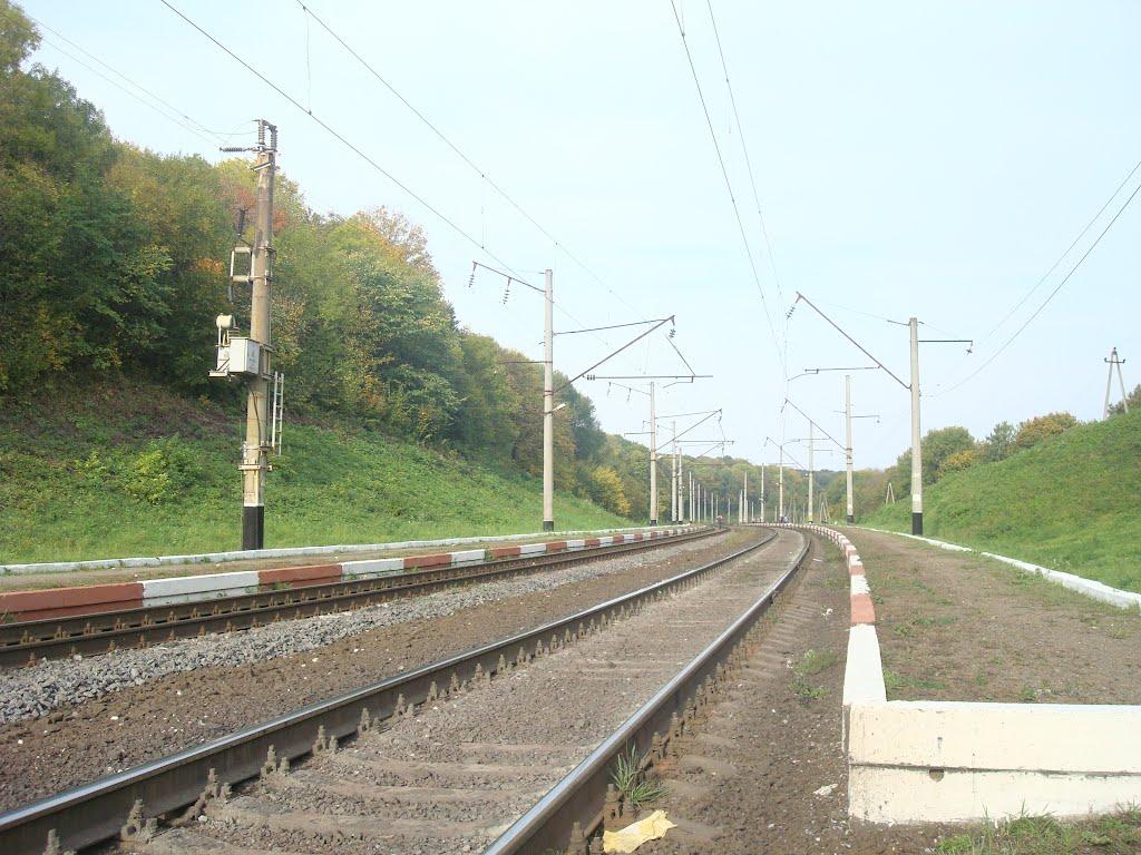 Березове з panoramio.com - Berezove