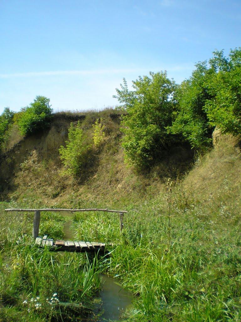 Кадиївці з panoramio.com - Кадиївці