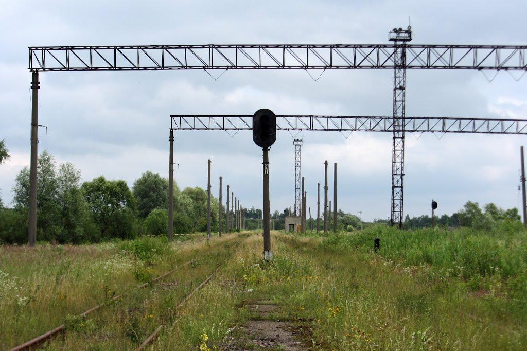 Дем'янка-Наддністрянська з panoramio.com - Демянка-Надднестрянская