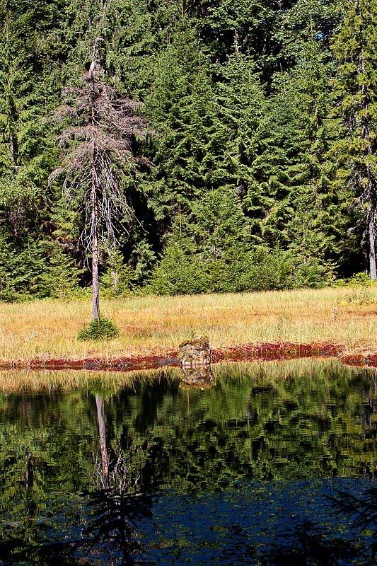 Заверхня Кичера з panoramio.com - Заверхня Кичера