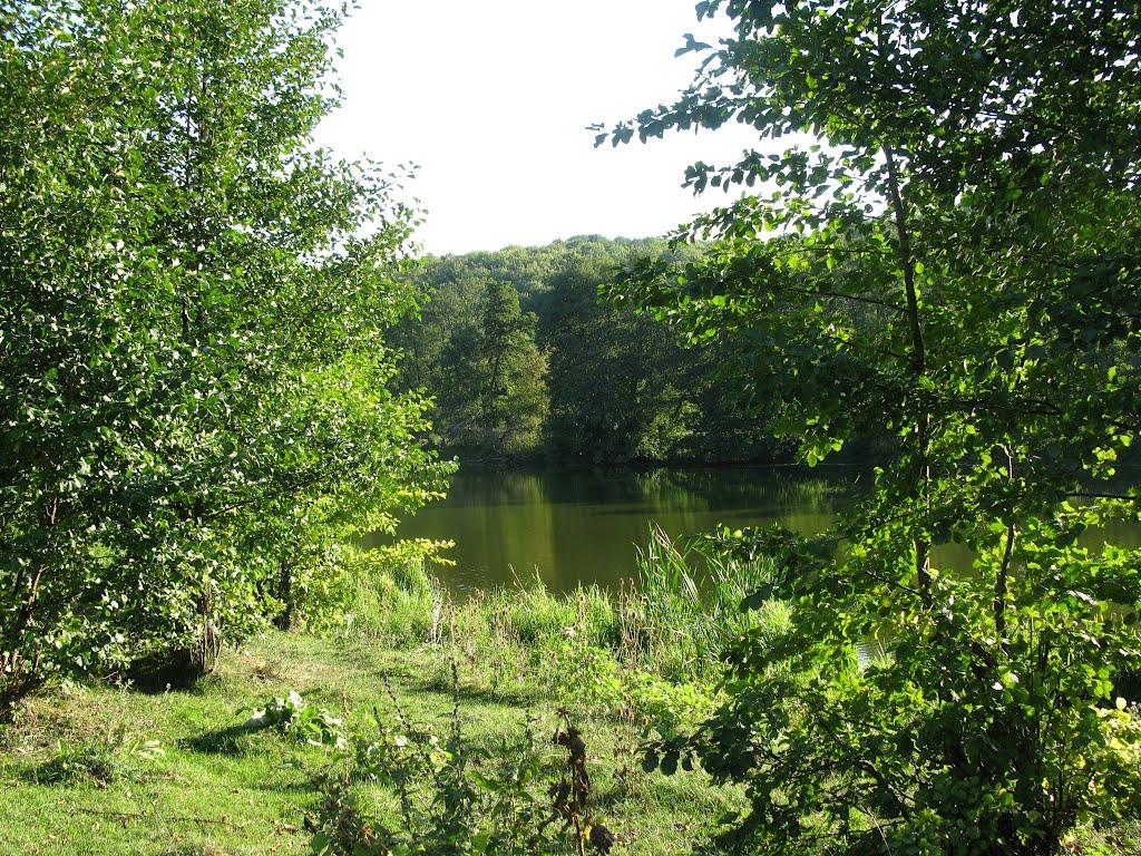 Тиврів з panoramio.com - Tyvriv