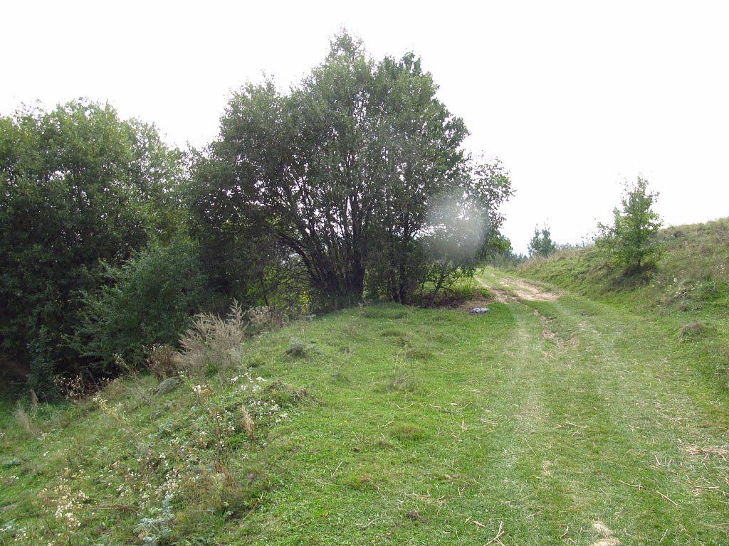 Крутнів з panoramio.com - Крутнів