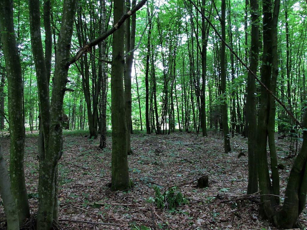 Полонне з panoramio.com - Полонное