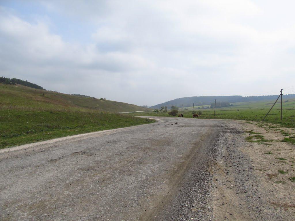 Крутнів з panoramio.com - Крутнев