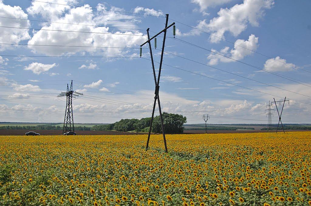 Максимільянівка з panoramio.com - Maksymilyanivka