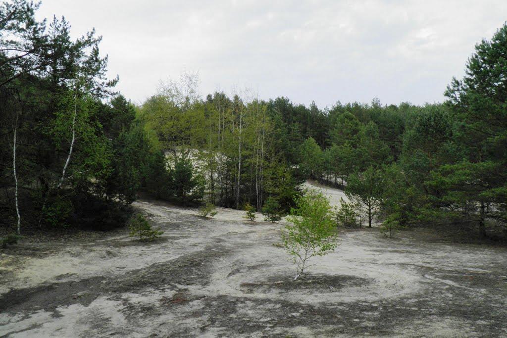 Маневичі з panoramio.com - Маневичи