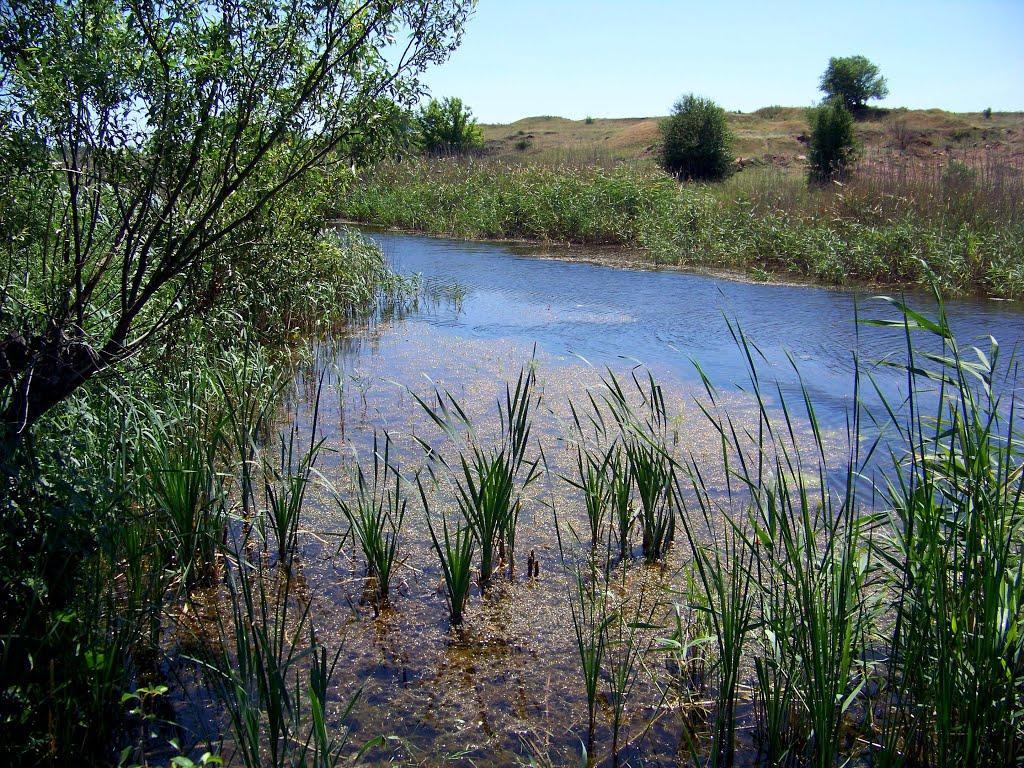 Гурівка з panoramio.com - Гуровка