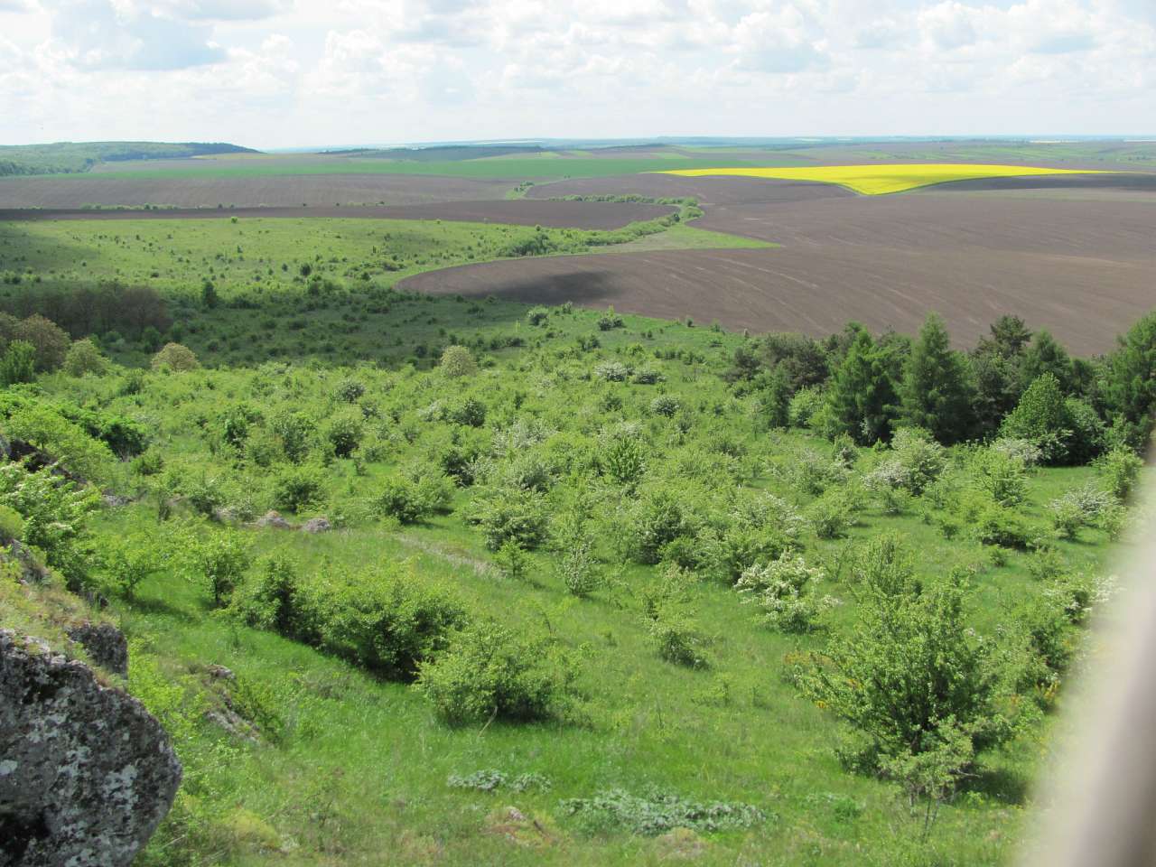 природа - Gorodnytsya