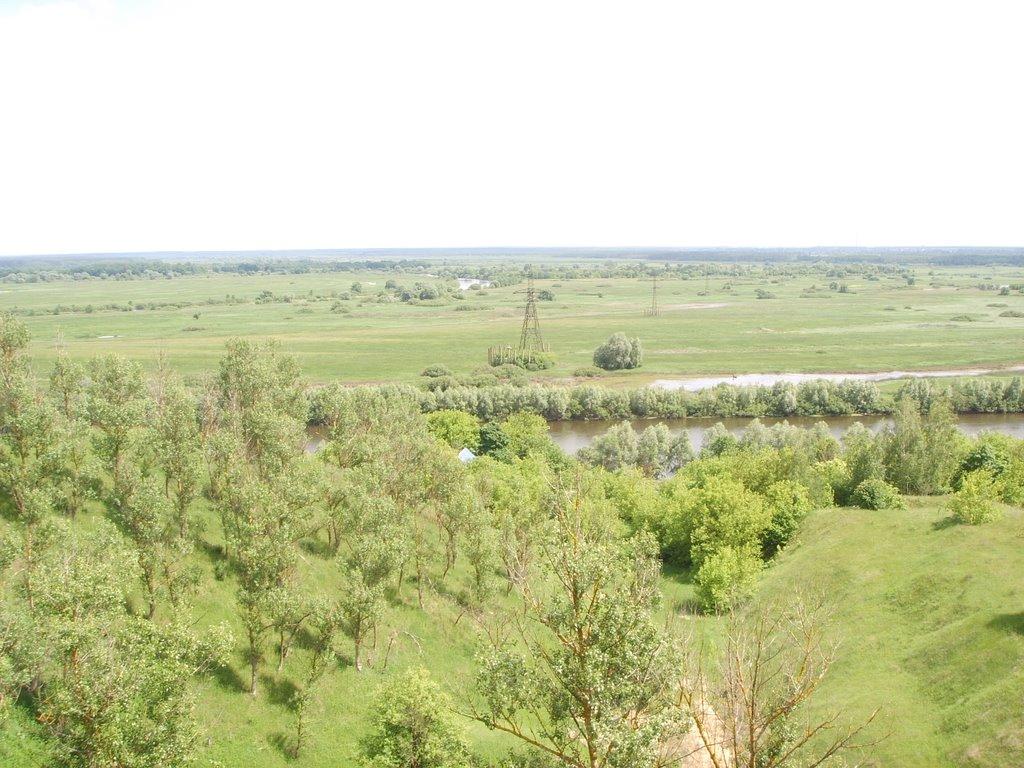 Дробишів з panoramio.com - Drobyshiv