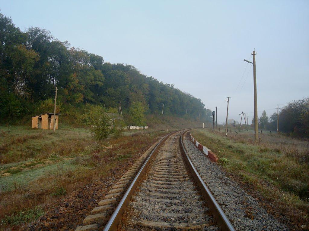 Лісогірка з panoramio.com - Lisogirka