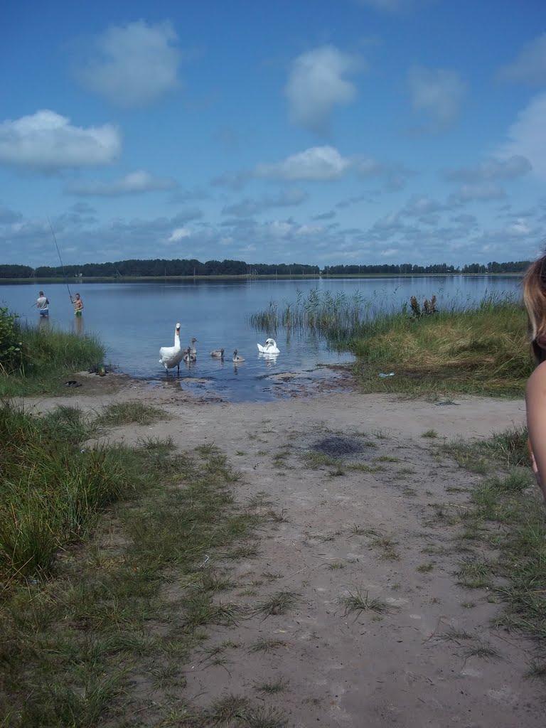 Гірники з panoramio.com - Гірники