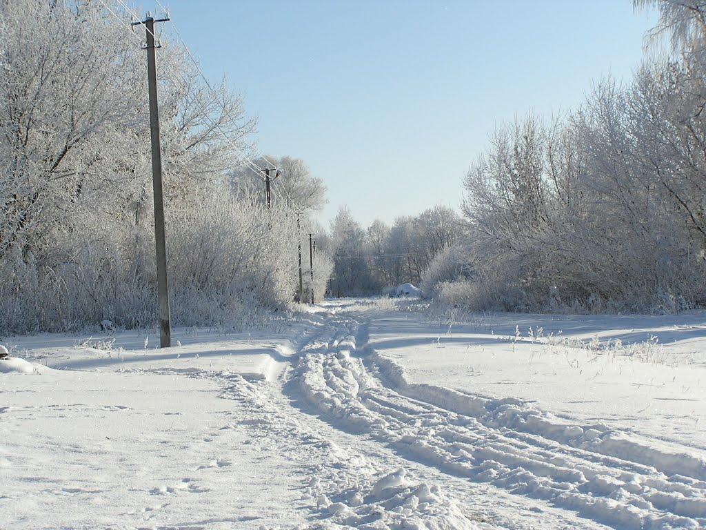 Черванівка з panoramio.com - Черванівка