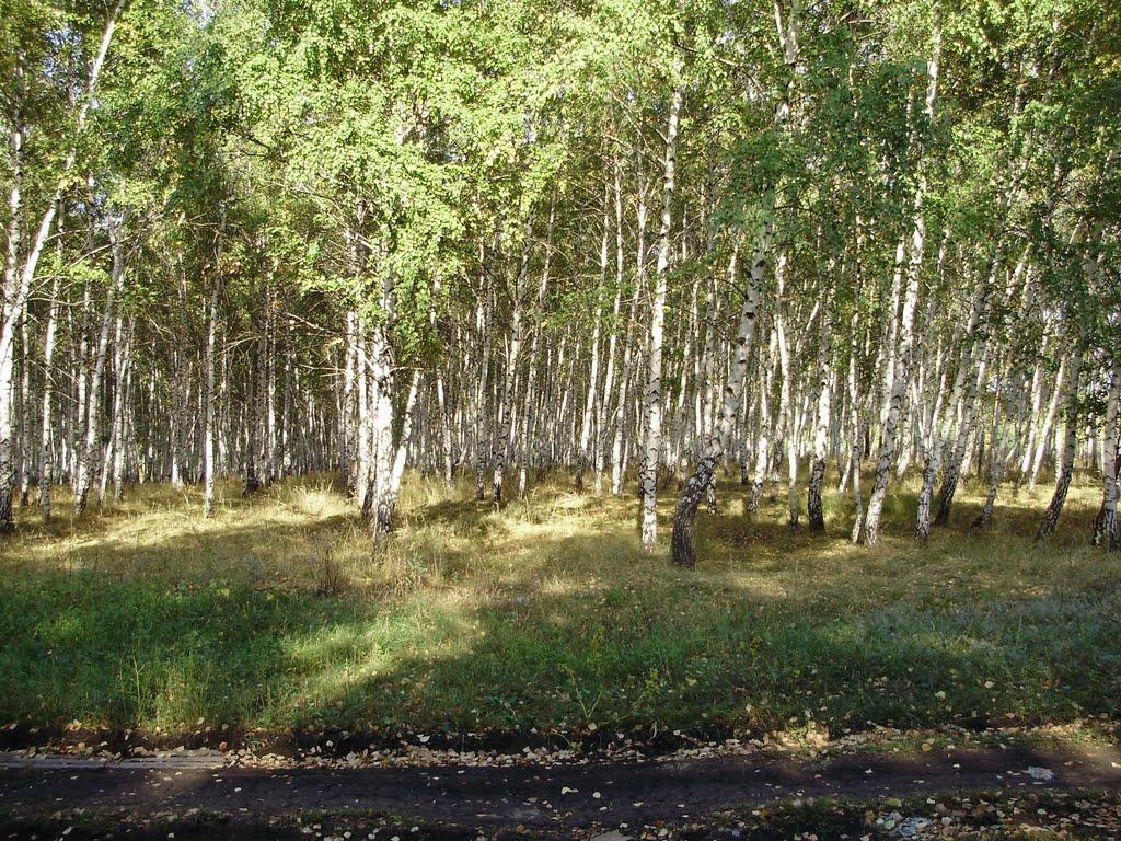 Попасна з panoramio.com - Попасна