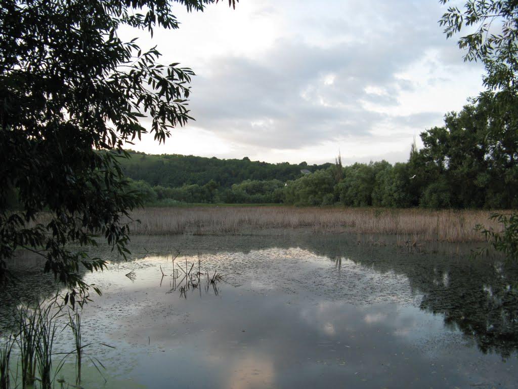 Миньківці з panoramio.com - Миньківці