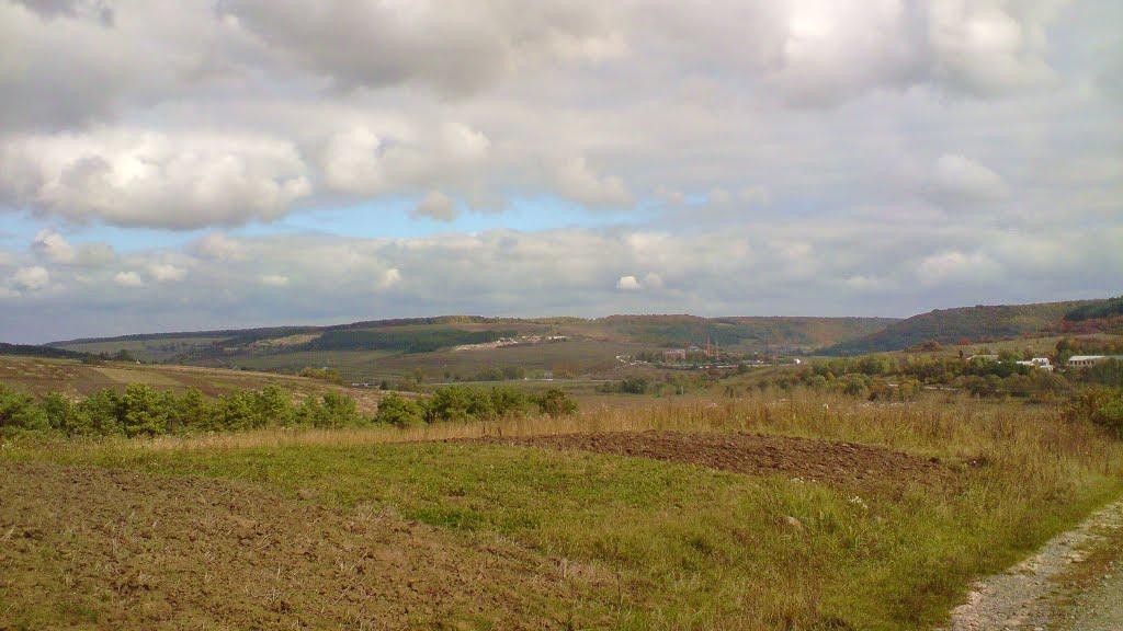 Куряни з panoramio.com - Куряни