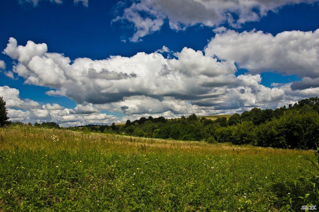 Великі Сади з panoramio.com - Великі Сади