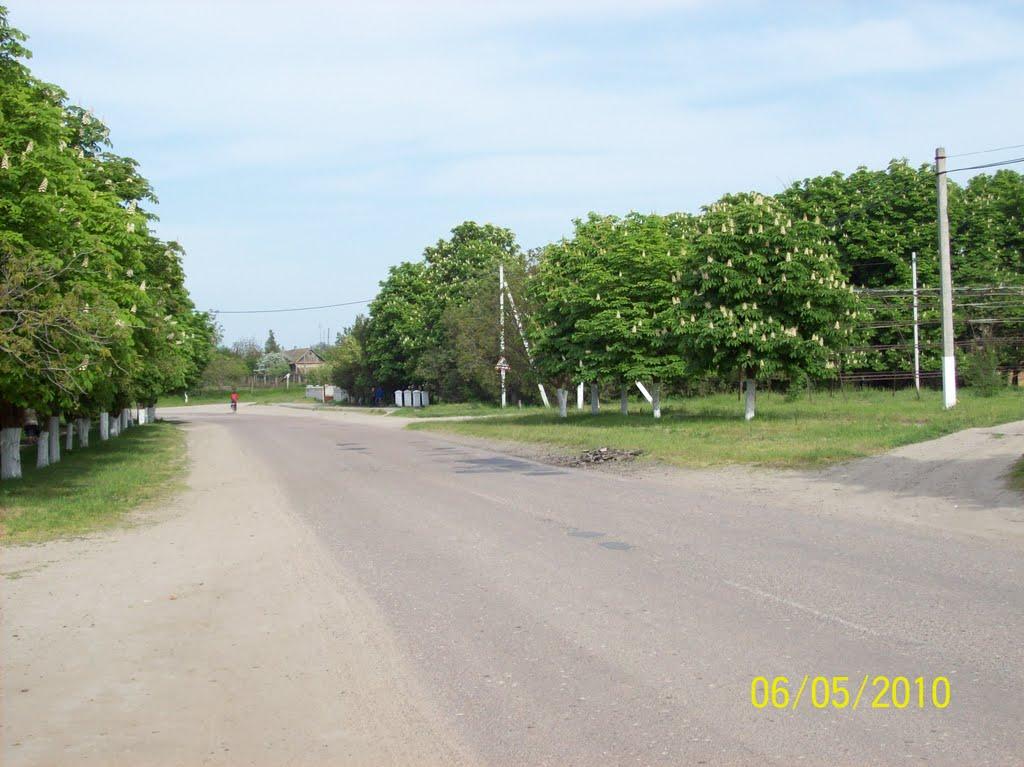 Удобне з panoramio.com - Удобне