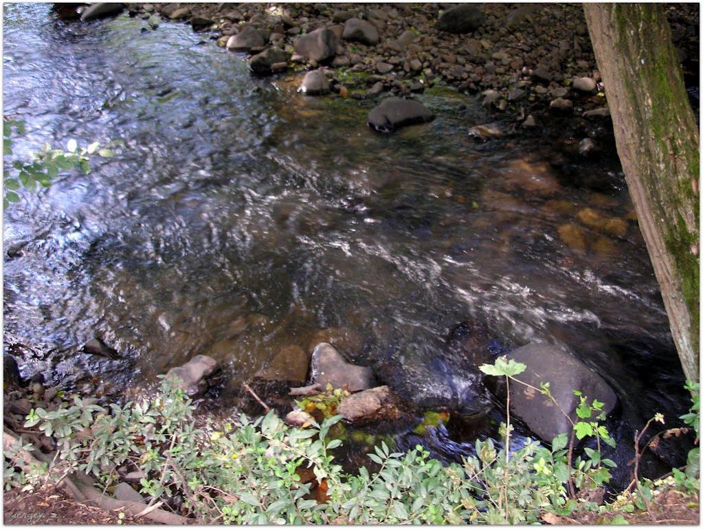 Анталовці з panoramio.com - Анталовці