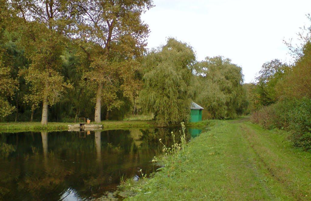 Рогачин з panoramio.com - Рогачин