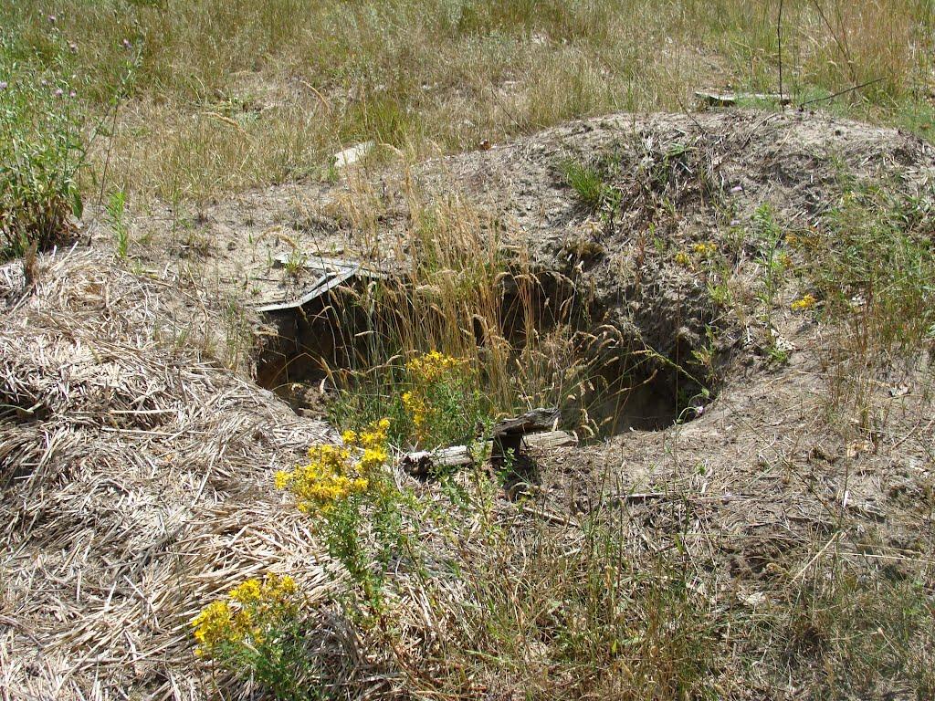 Річки з panoramio.com - Річки