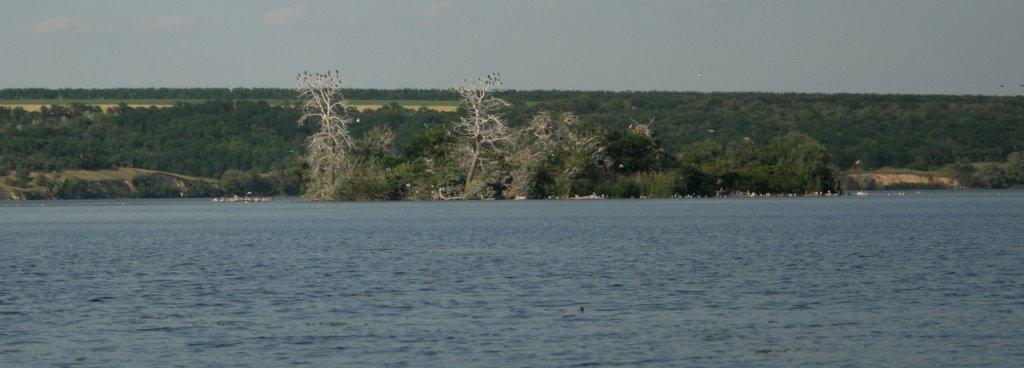 Орлівське з panoramio.com - Орловское