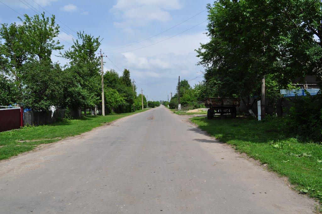 Сербинівка з panoramio.com - Сербиновка