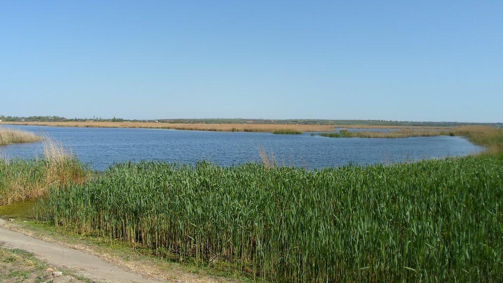 Кучурган з panoramio.com - Kuchurgan