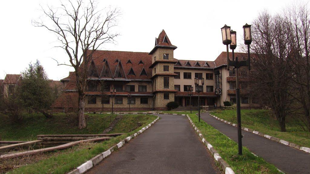 Новий Мізунь з panoramio.com - Новий Мізунь