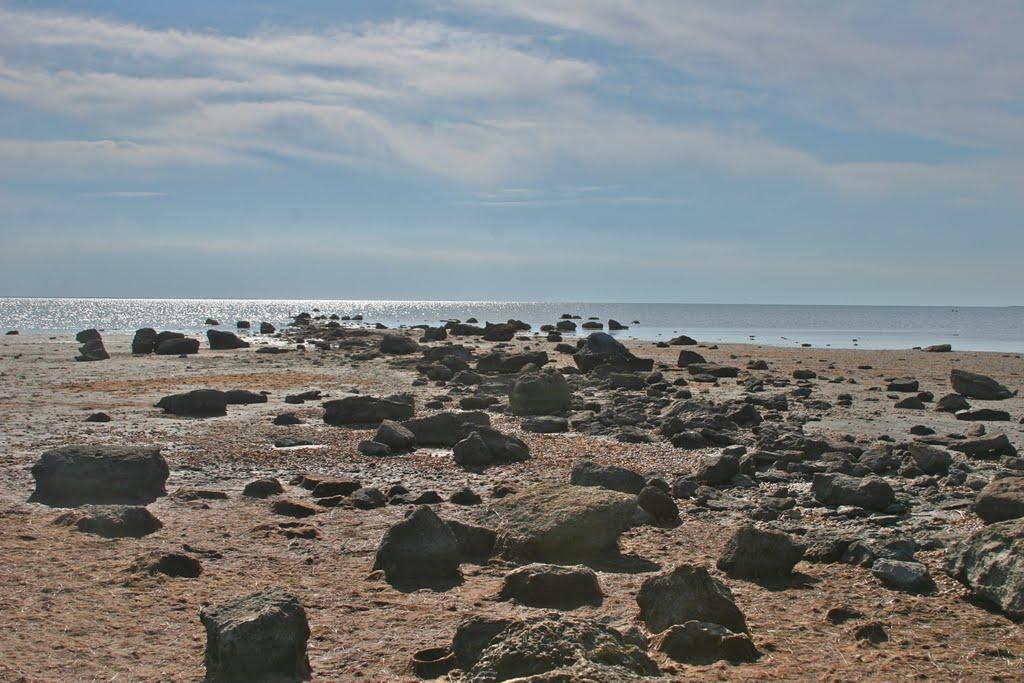 Львове з panoramio.com - Львове