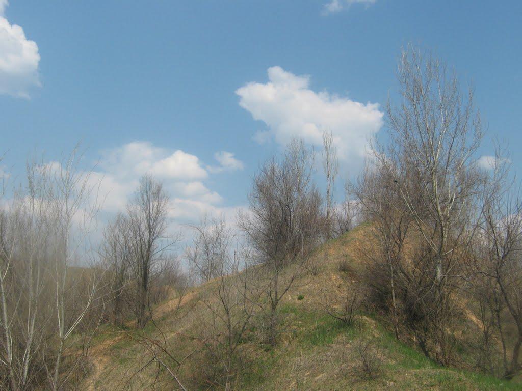 Орджонікідзе з panoramio.com - Орджоникидзе