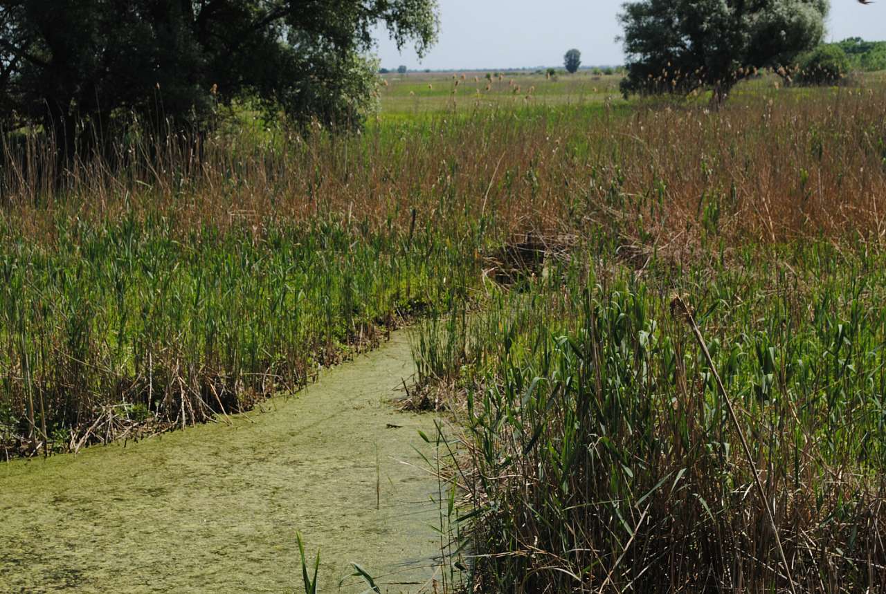 По Сулі - Матвіївка