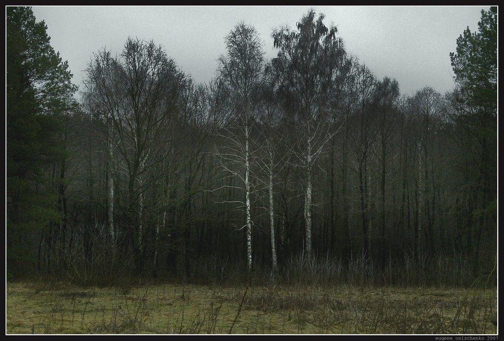 Кийлів з panoramio.com - Кийлів