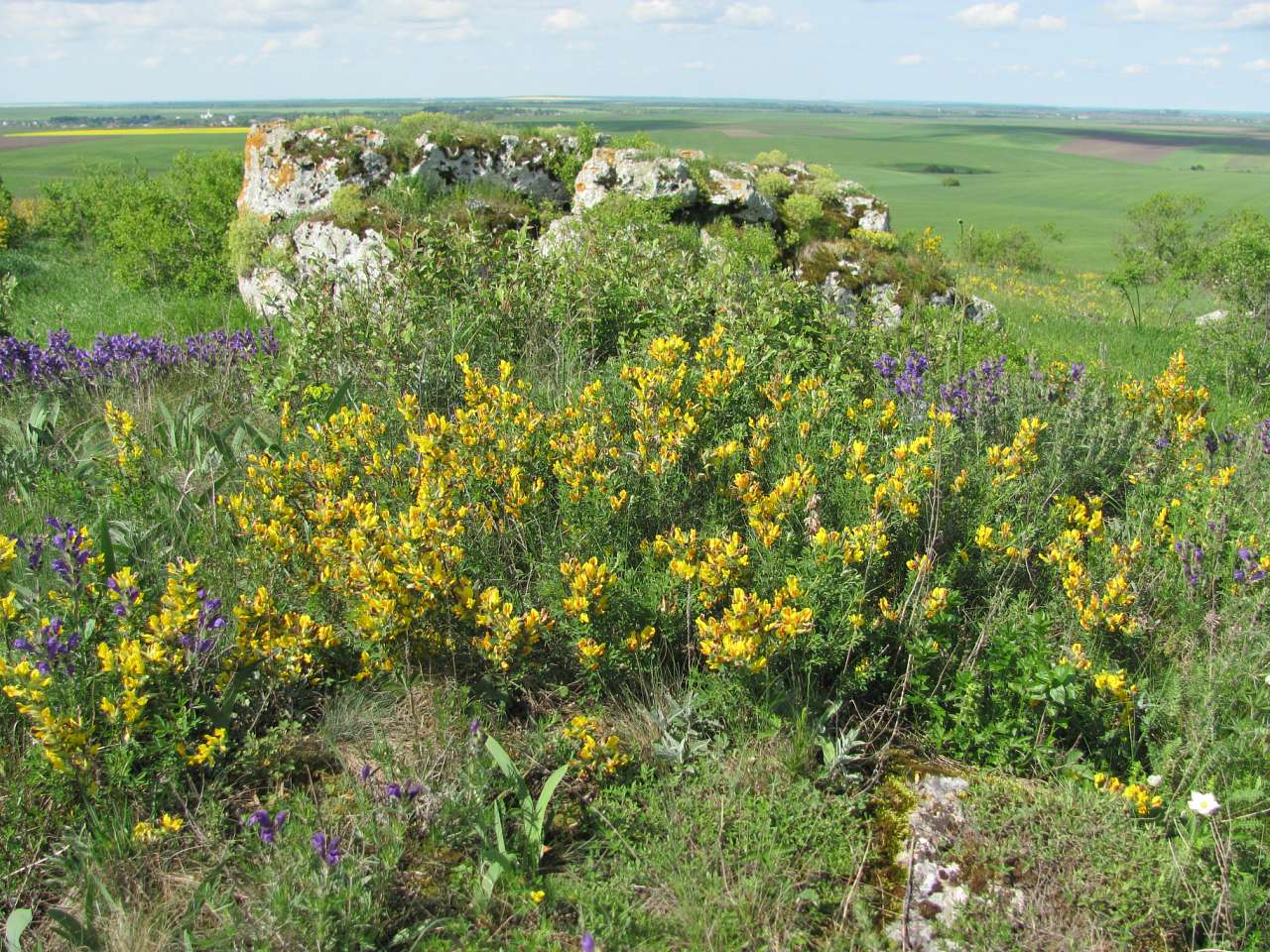 природа - Gorodnytsya