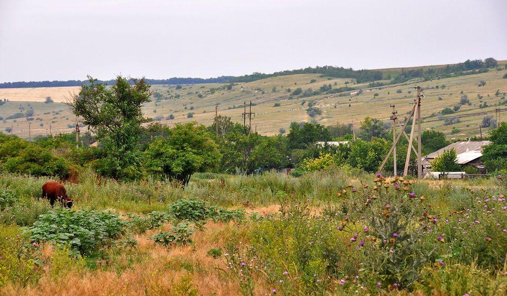 Великий Суходіл з panoramio.com - Великий Суходол